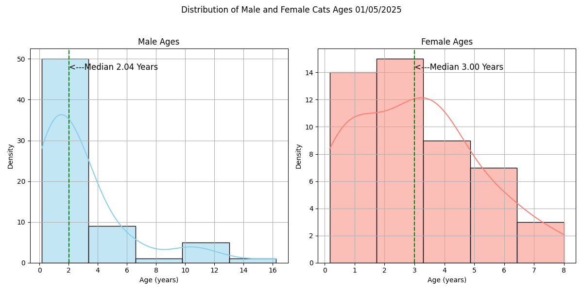 Age