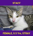 STACY