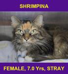 SHRIMPINA